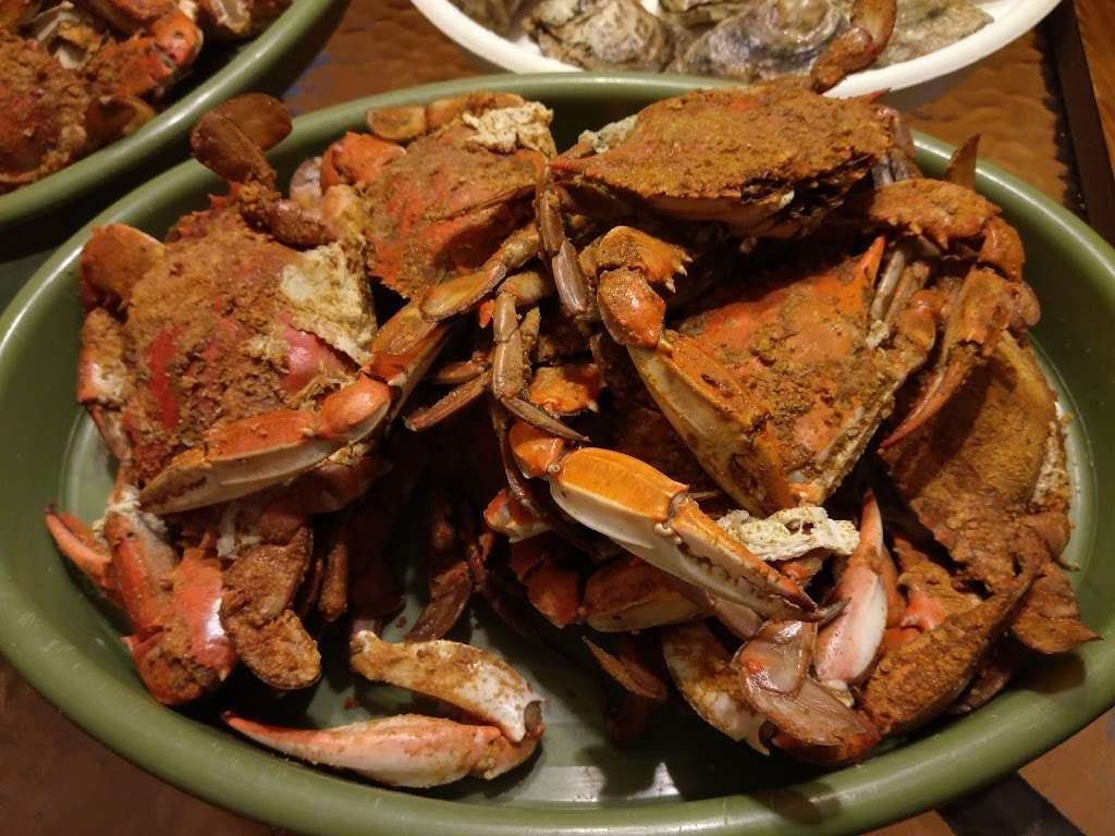 Masterbaiters Bait, Tackle, Live/Steamed Crabs | 775 S Dupont Hwy, New Castle, DE 19720, USA | Phone: (302) 834-2248