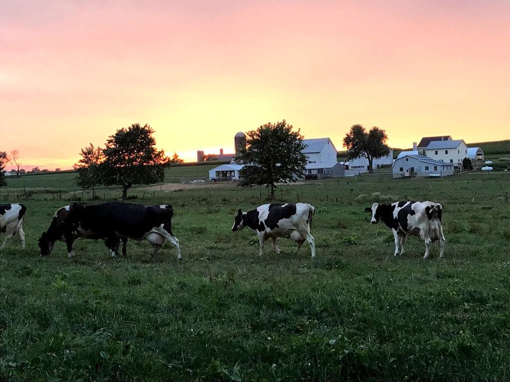 Groff Memorial Park | 121 W Conestoga St, New Holland, PA 17557, USA