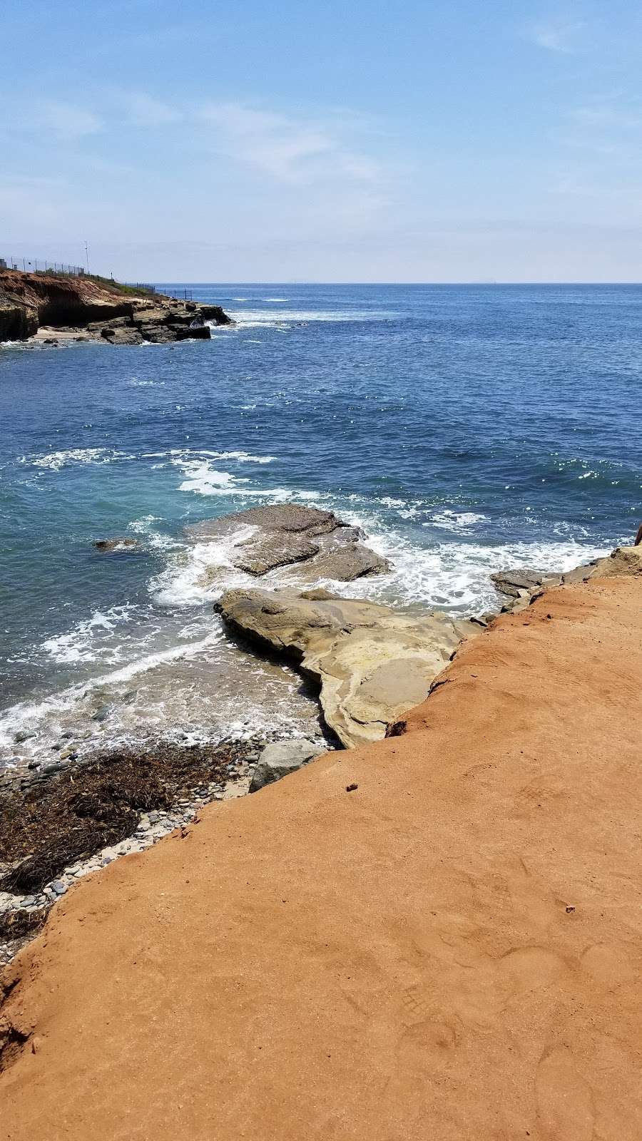 Point Loma Tide Pools | 1800 Cabrillo Memorial Dr, San Diego, CA 92106, USA | Phone: (619) 557-5450