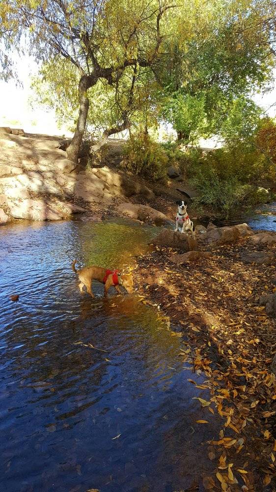 Bear Creek Dog Park | S 21st St, Colorado Springs, CO 80904, USA | Phone: (719) 520-7529