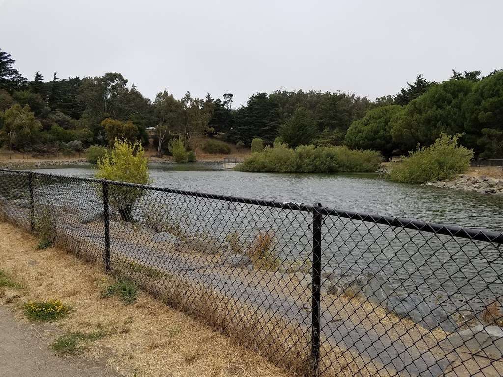 McLaren Upper Reservoir | 217, 231 John F Shelley Dr, San Francisco, CA 94134, USA