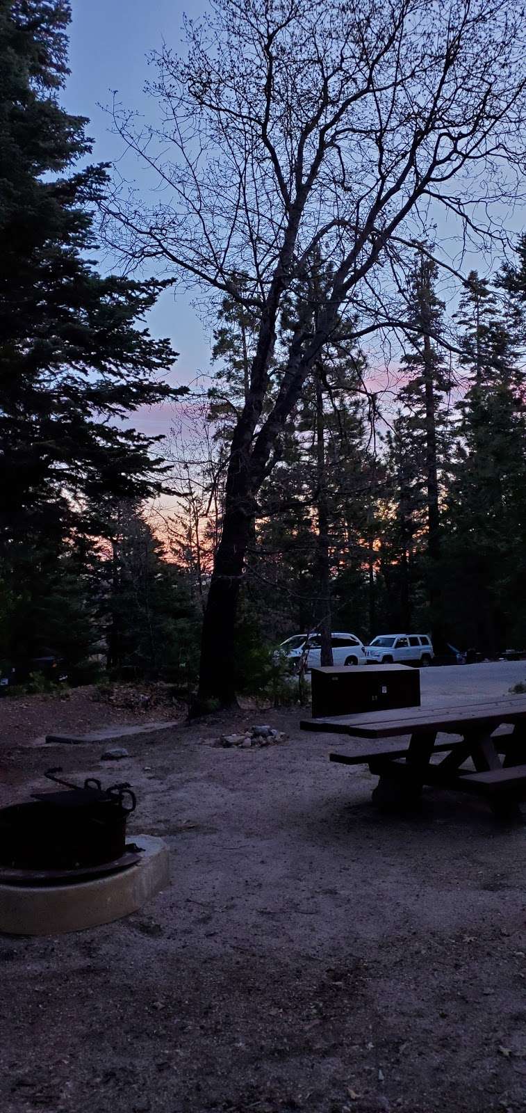 Dogwood Family Campground | Lake Arrowhead, CA 92352, USA | Phone: (909) 336-6717