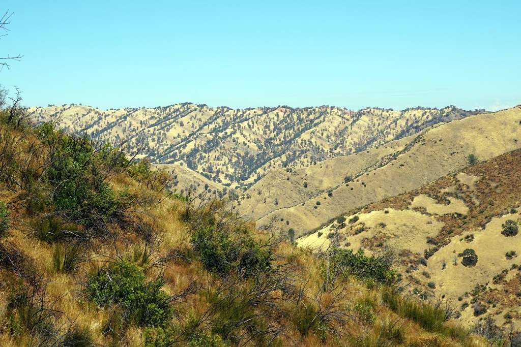 Homestead Trailhead | 22095 CA-128, Winters, CA 95694, USA