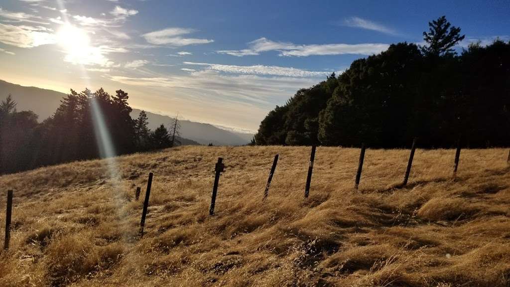 Saratoga Gap Open Space Preserve | 28798 Big Basin Way, Los Gatos, CA 95033 | Phone: (650) 691-1200