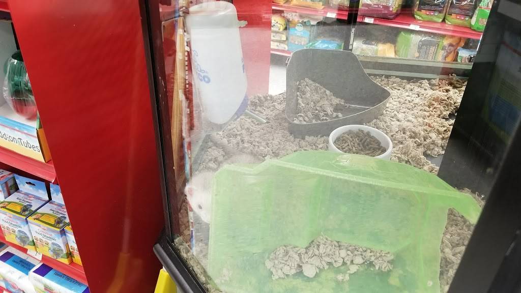 Petco | 1014 Shoppes At Midway Dr, Knightdale, NC 27545, USA | Phone: (919) 217-2560