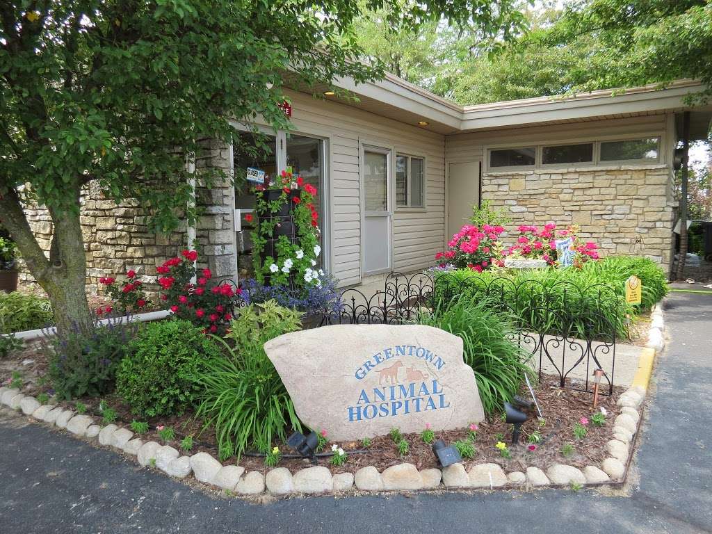 Greentown Animal Hospital | County Road, 59, N 950 E, Greentown, IN 46936 | Phone: (765) 628-7834