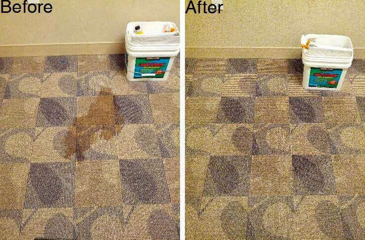 Champion Carpet & Wood Services | 2389 Verna Ct, San Leandro, CA 94577, USA | Phone: (510) 352-5200