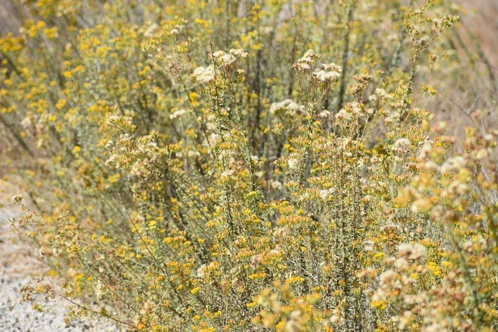 Penasquitos Creek Crossing | Los Penasquitos Canyon Trail, San Diego, CA 92129