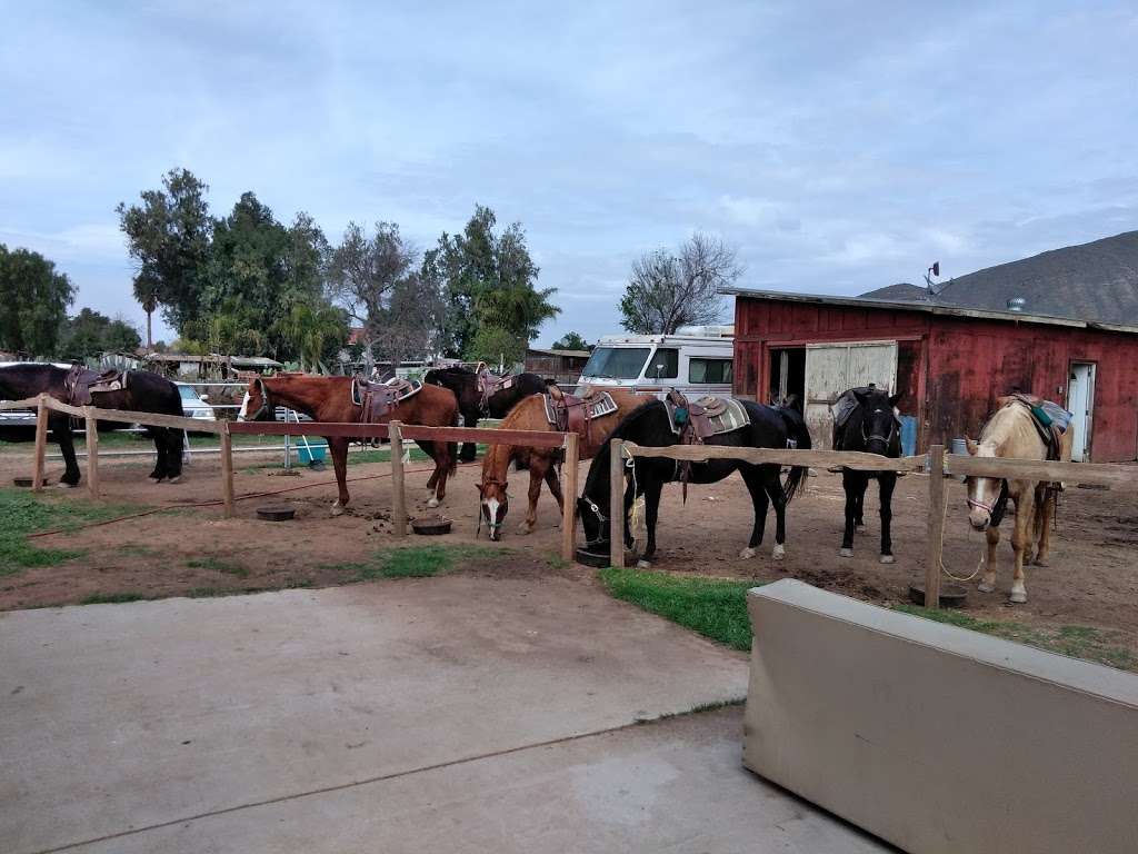 Western Trails Horseback Riding | 4103 Pedley Ave, Norco, CA 92860 | Phone: (951) 403-1290