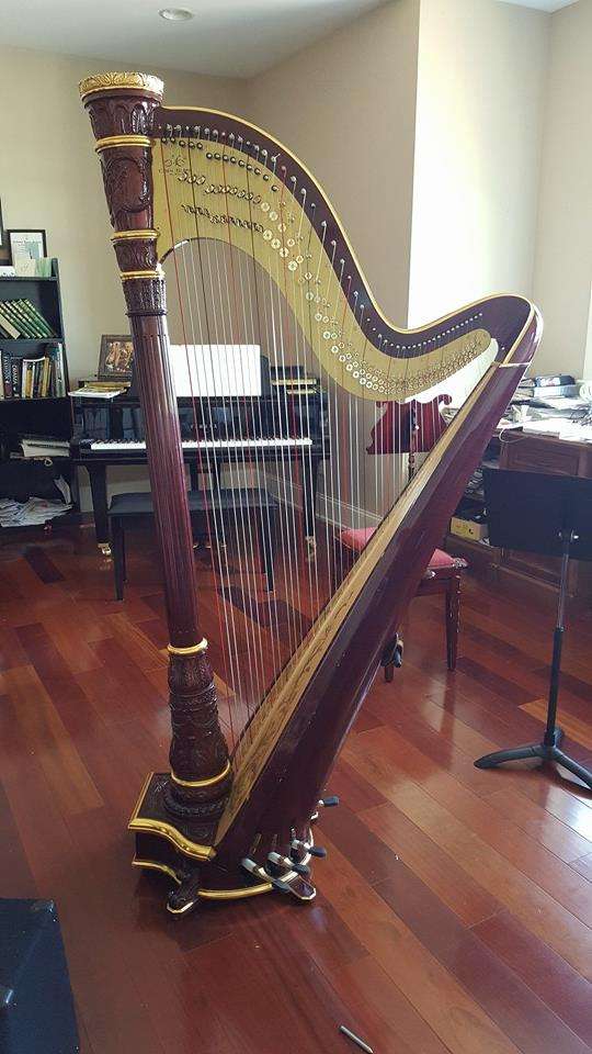 Harp and Soul-Philadelphia Harpist | 1199 Grosstown Rd, Pottstown, PA 19464, USA | Phone: (610) 764-9153