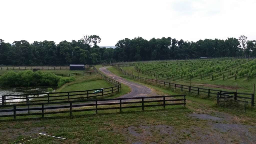 Tumble Rock Farm | 13145 Sagle Rd, Purcellville, VA 20132, USA | Phone: (703) 615-7807