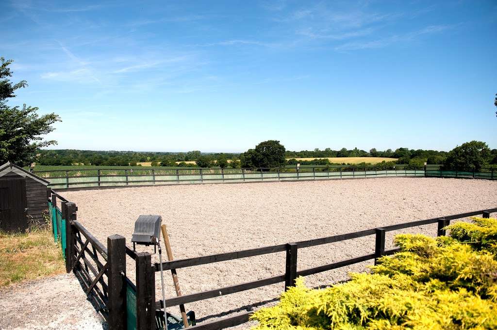 Clarendon Equine Vets | Bexfields Farm, Galleywood Rd, Chelmsford CM2 8BY, UK | Phone: 01245 346904