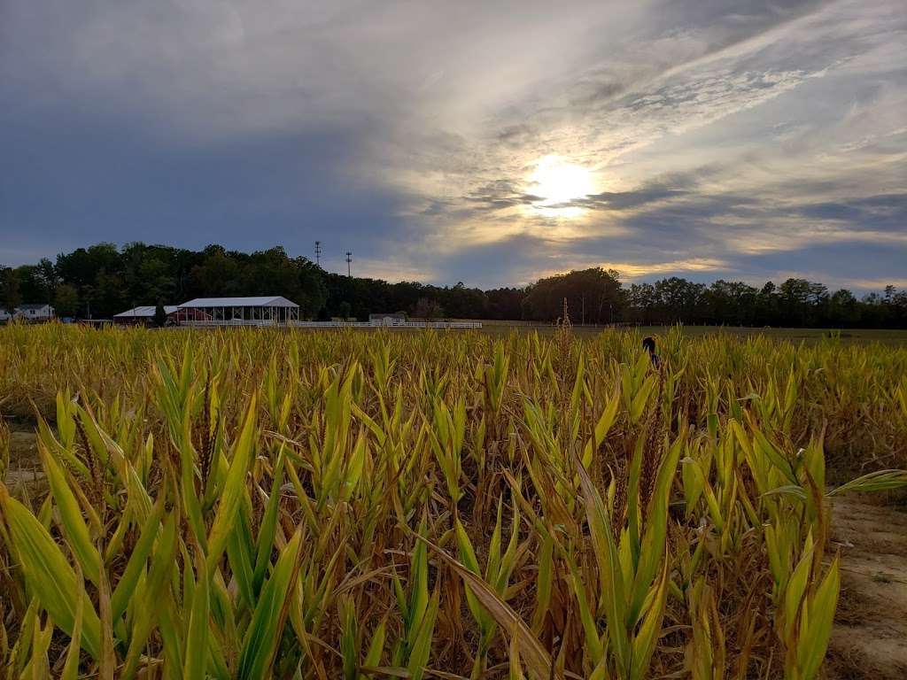 Hanover Vegetable Farm | 13580 Ashland Rd, Ashland, VA 23005, USA | Phone: (804) 752-2334