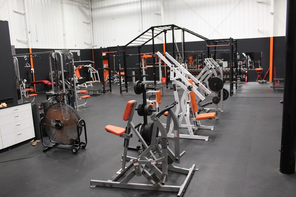 Tiger Fitness | 150 Commerce Dr, Loveland, OH 45140, USA | Phone: (877) 397-3801