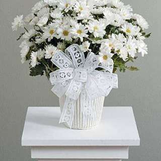 Petals Flowers & Fine Gifts | 4 Rockland Rd, Wilmington, DE 19807, USA | Phone: (302) 654-9556