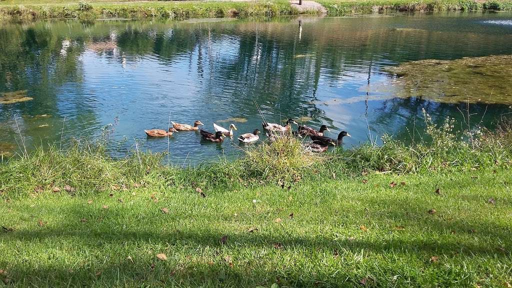 Prospect Avenue Park | Mt Airy, MD 21771, USA | Phone: (301) 829-1424