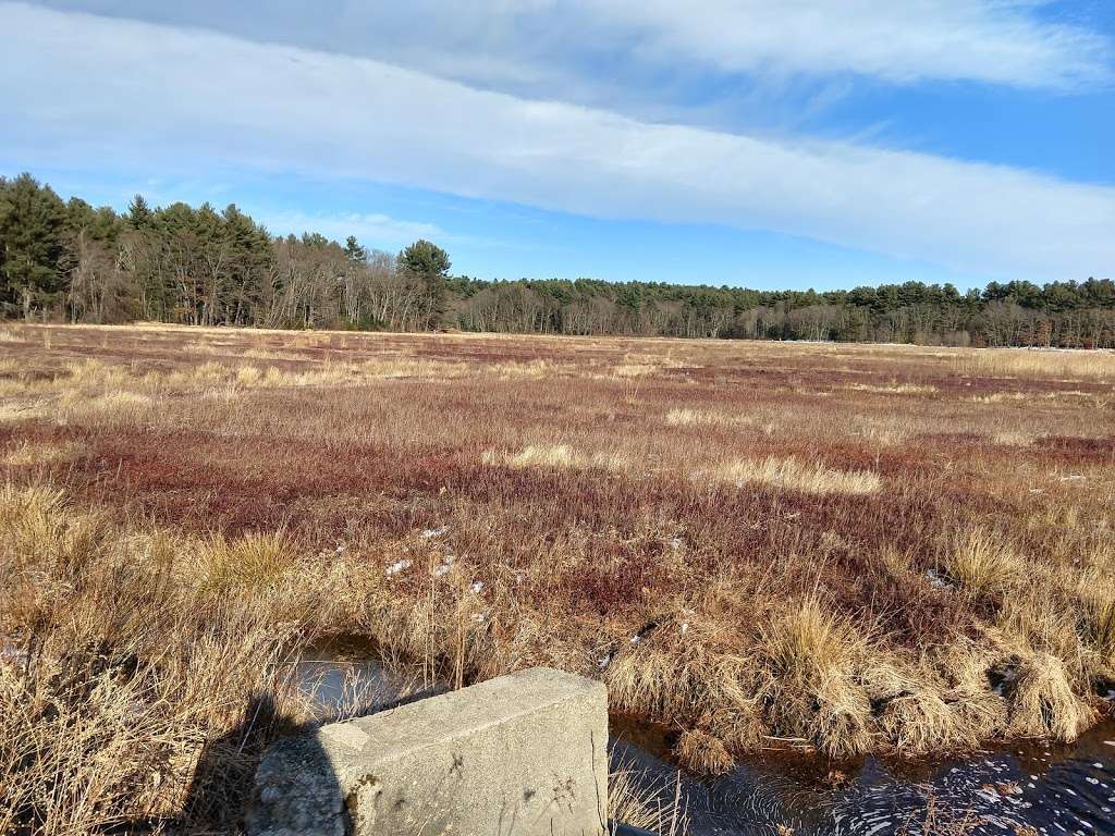 Cranberry Bog Parking | CARL-30-2-0, Carlisle, MA 01741, USA