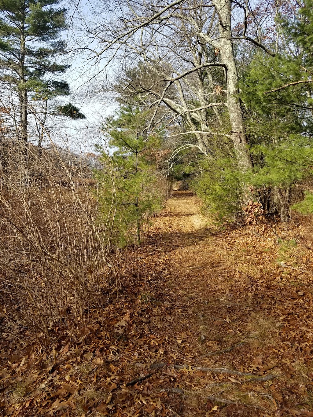 Greenways Conservation Land | 22 Green Way, Wayland, MA 01778, USA