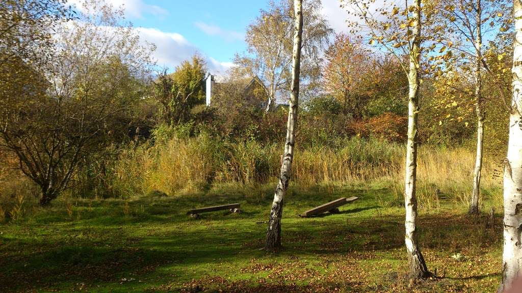 The Ripple Nature Reserve | Barking IG11, UK