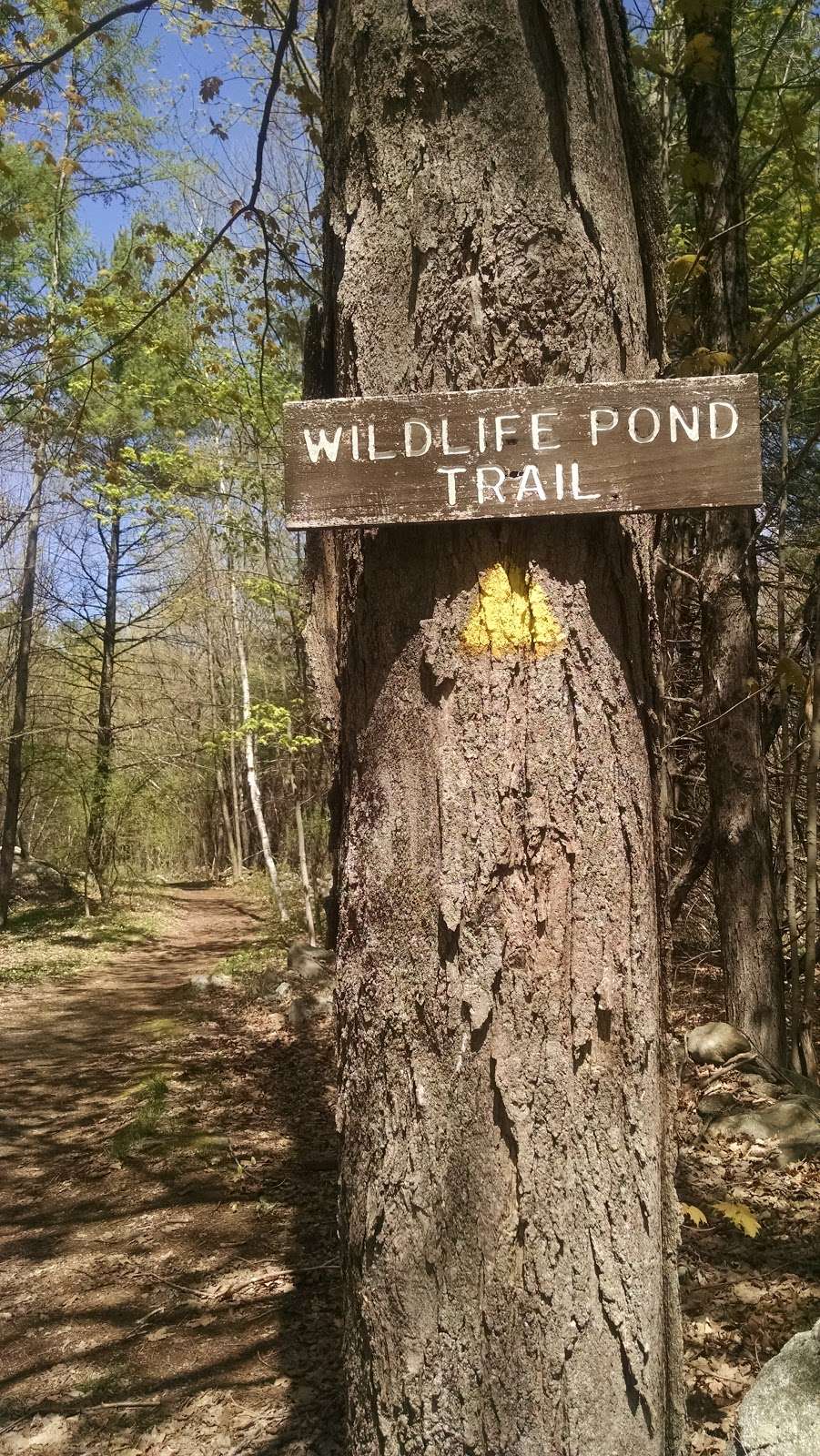 Beaver Brook Association trailhead | Hollis, NH 03049