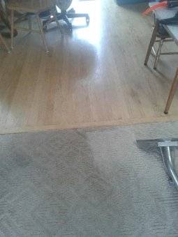 Renu Carpet Cleaning | 17404 E Asbury Pl, Aurora, CO 80013, USA | Phone: (720) 435-6612