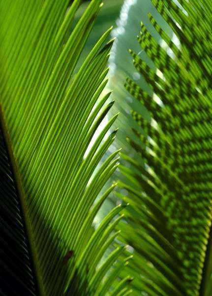 Gallery 317 | 3265 NC-27, Lincolnton, NC 28092, USA | Phone: (888) 558-2891