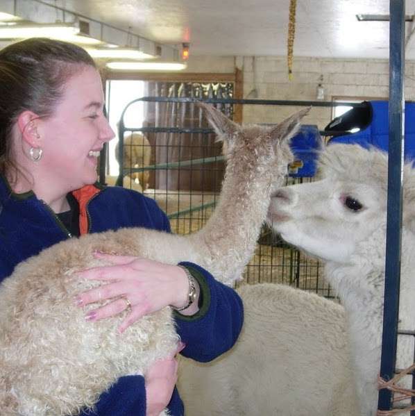 Positively Alpaca Farm, LLC | 436 Maple Grove Rd, Mohnton, PA 19540, USA | Phone: (484) 374-5241