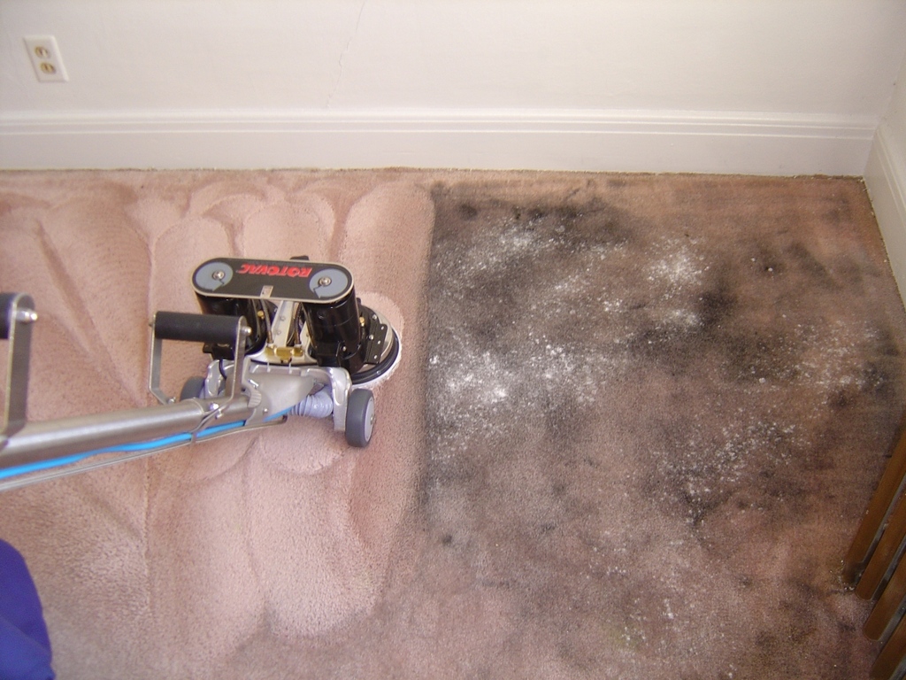 Breathe Easy $60 Carpet Cleaning | 1703 Hidden Oaks Ct, Plainfield, IL 60586, USA | Phone: (815) 577-3837