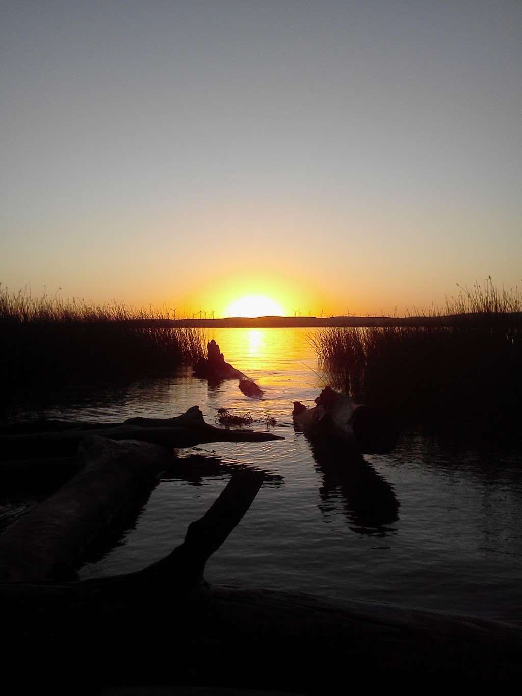 Rio Vista Fishing Spot #1 | 17645 CA-160, Rio Vista, CA 94571, USA