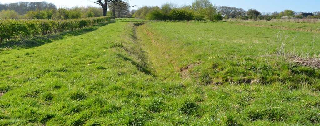 Rickneys Gundog Training Ground in Hertfordshire | Rickneys Lodge, Chapmore End SG12 0HD, UK | Phone: 07887 684119