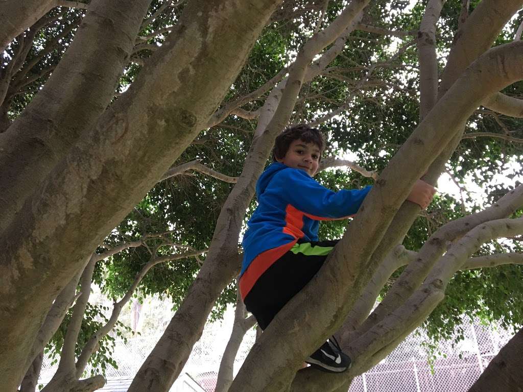 Bird Rock Park | 5371 La Jolla Hermosa Ave, La Jolla, CA 92037, USA | Phone: (858) 552-1658