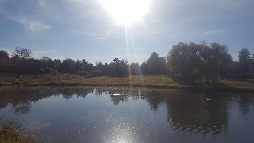 Roethlisberger Park | 8101-8149 Southpark Ln, Littleton, CO 80120, USA