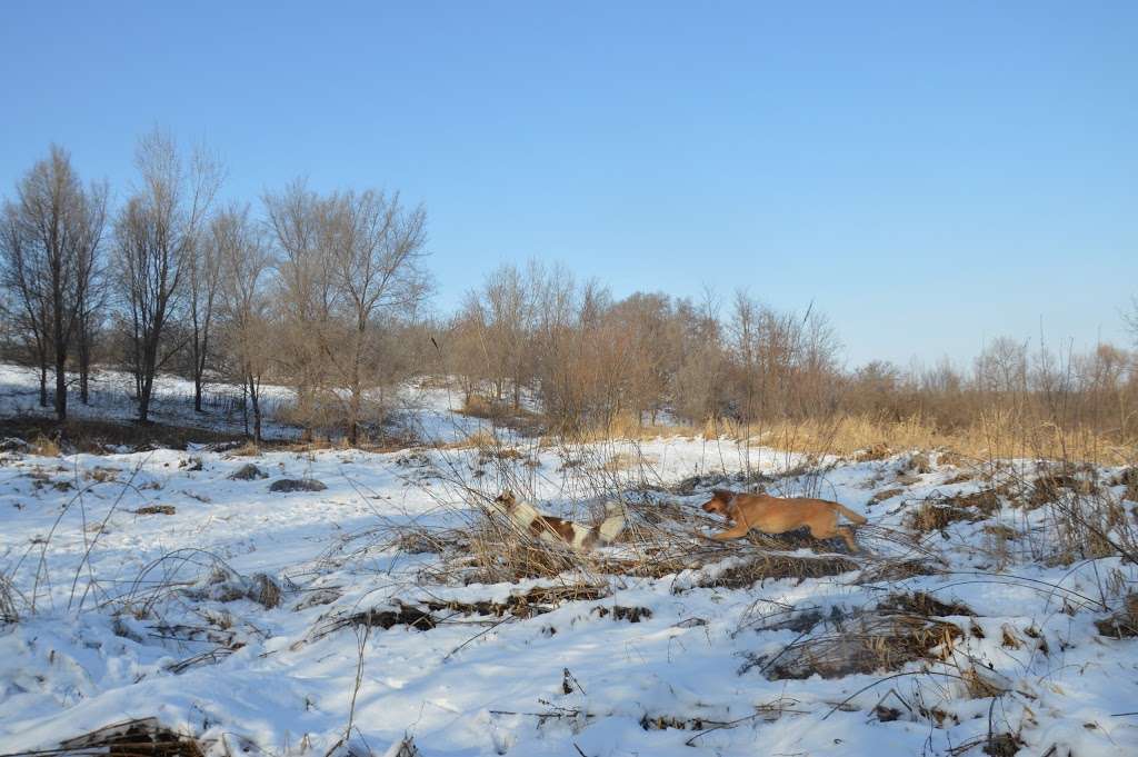 Four Seasons Nature Preserve | N1889 Co Trunk H, Lake Geneva, WI 53147