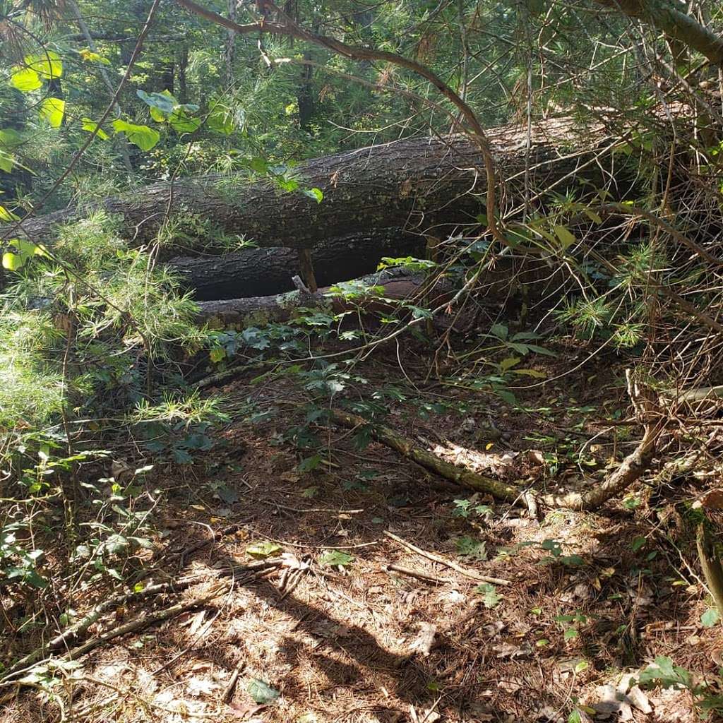 Bay Circuit Trail Southern Terminus | Duxbury, MA 02332, USA