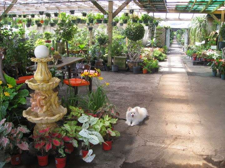 JRN Nursery 4809 Breen Dr, Houston, TX 77086