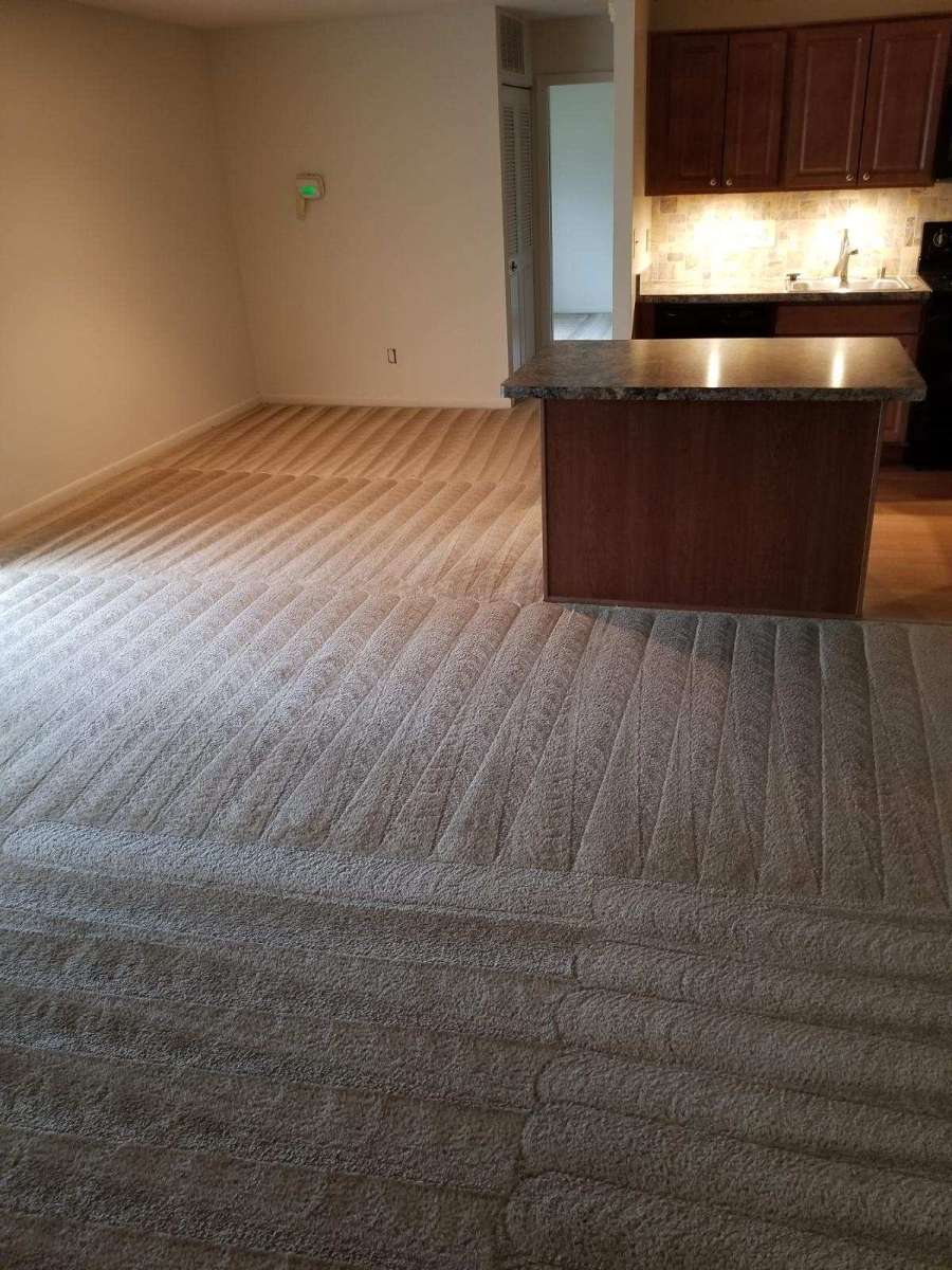 Infinite Carpet Cleaning | 2921 Salford Dr, Abingdon, MD 21009 | Phone: (410) 588-7143