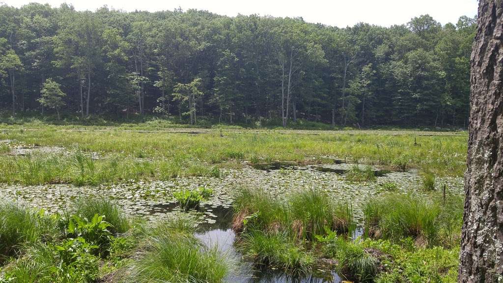 Bennets Pond State Park | Bennett Ponds,, Ridgefield, CT 06877, USA | Phone: (860) 424-3200