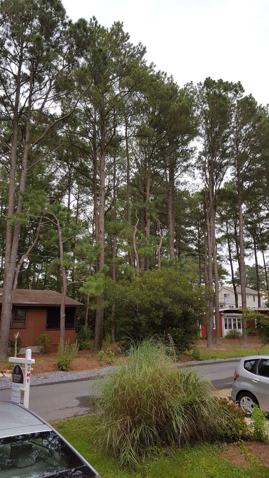 Natter Park | 719A Treetop Ln, Bethany Beach, DE 19930, USA