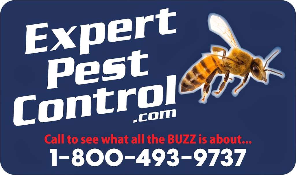 Expert Pest Control, Inc. | 1726 Columbus Rd, Burlington, NJ 08016, USA | Phone: (609) 387-1116