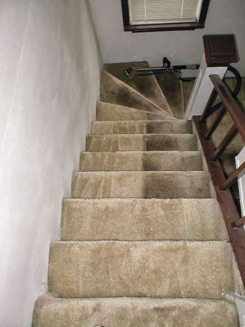 Carpet Cleaning & Flood Damage Services | 1620 Presidential Way, West Palm Beach, FL 33401, USA | Phone: (561) 894-9877