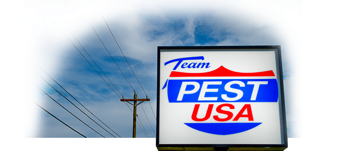 Team Pest USA | 3440 St Vardell Ln Suite C, Charlotte, NC 28217, USA | Phone: (704) 916-3100