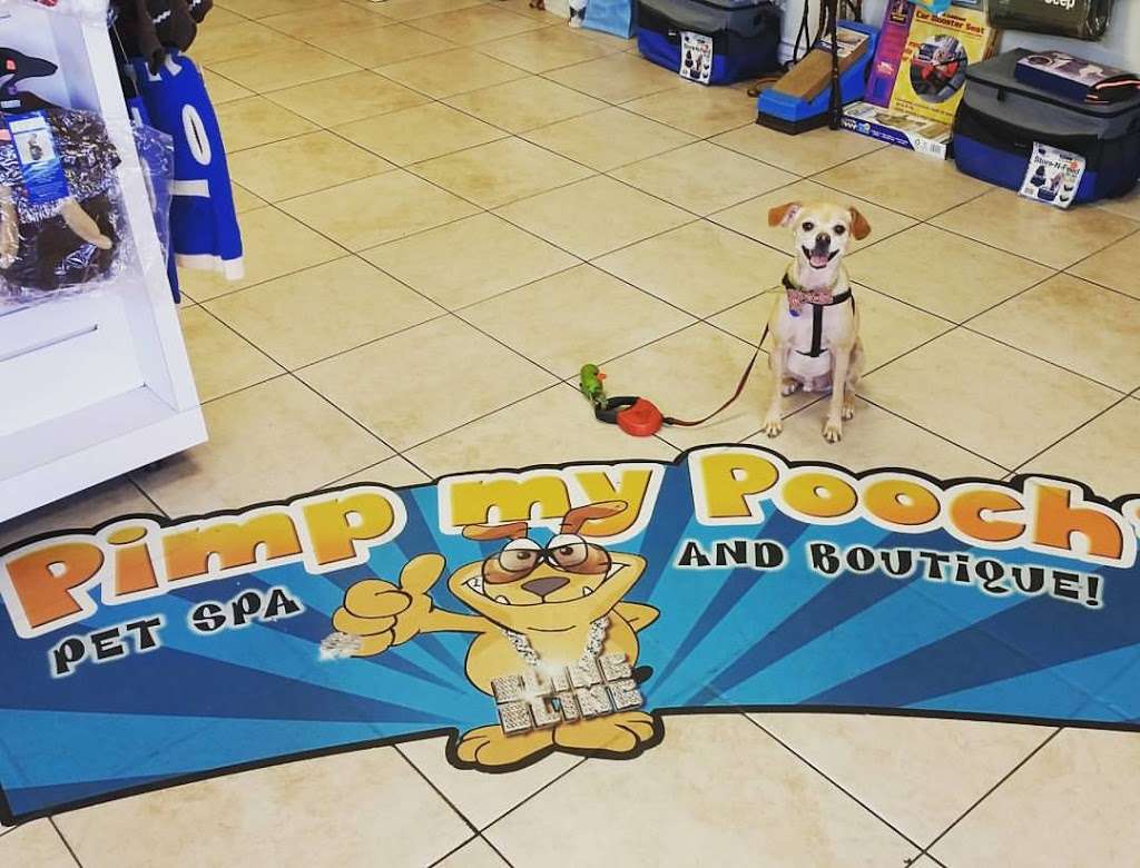 Pimp My Pooch Pet Spa | 3200 W Magnolia Blvd, Burbank, CA 91505, USA | Phone: (818) 567-6364