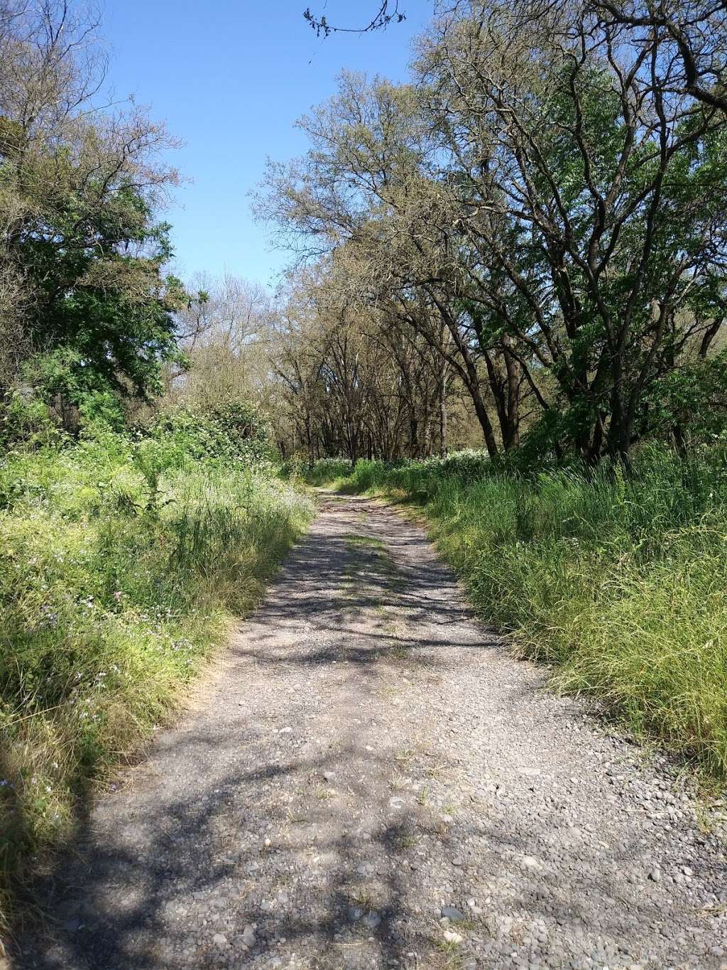 Santa rosa creek trail | 767 Willowside Rd, Santa Rosa, CA 95401, USA