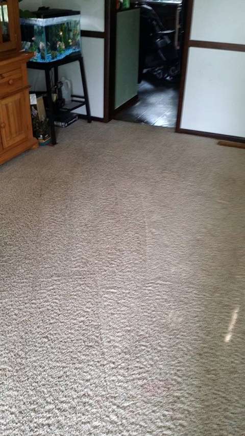 All American Carpet Cleaning | 1166 Beauchamp Ave, Manteno, IL 60950 | Phone: (815) 919-3827