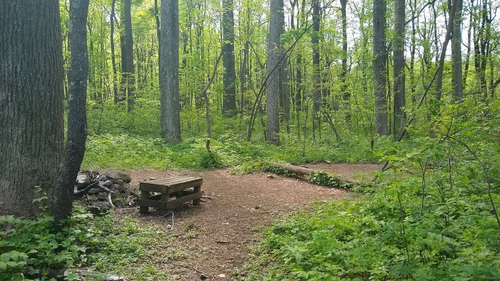 Mosby Campsite | Appalachian Trail, Linden, VA 22642, USA