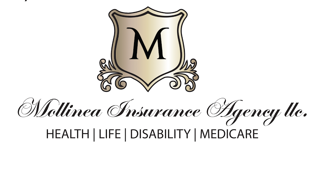 Mollinea Insurance Agency LLC | 191 Daffodil Dr, East Stroudsburg, PA 18301, USA | Phone: (570) 369-4101