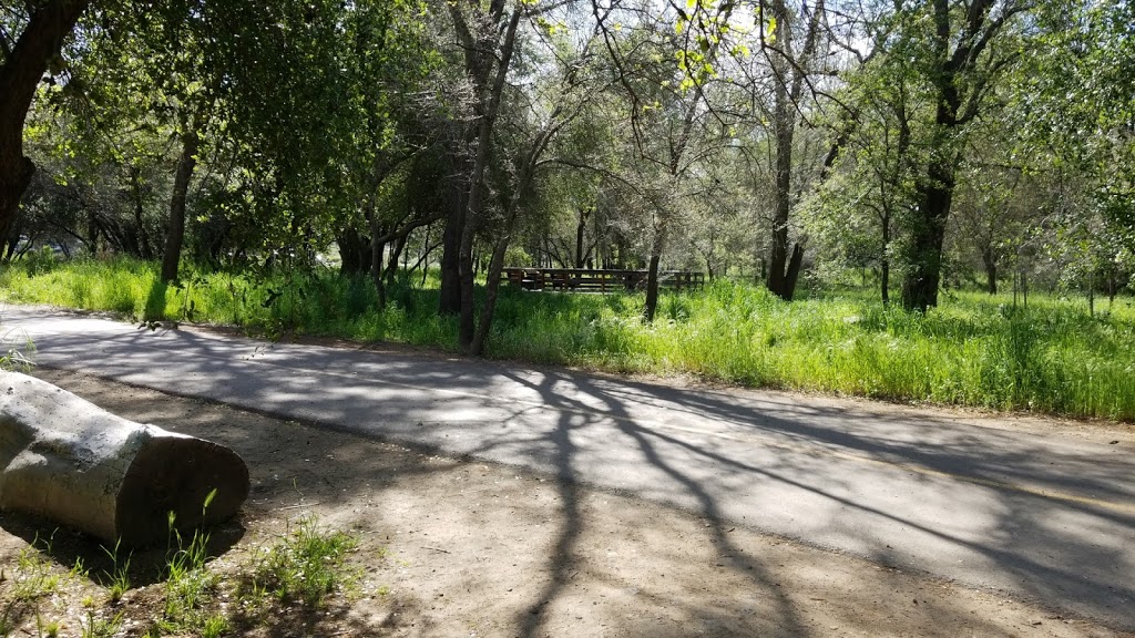 Arcade Creek Park Preserve | 6377 Bonham Cir, Citrus Heights, CA 95610 | Phone: (916) 725-1585