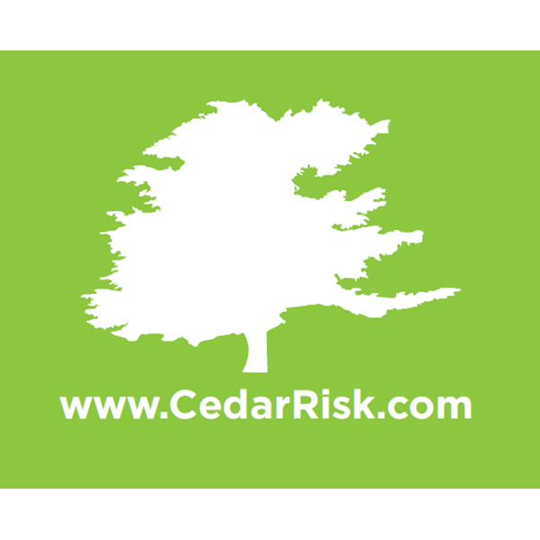 Cedar Risk Management & Insurance Services | 349 NJ-31 #201, Flemington, NJ 08822 | Phone: (908) 237-1800