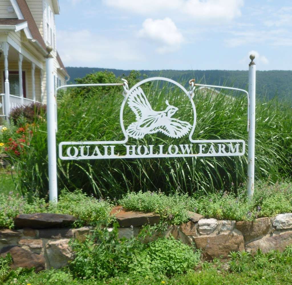 Quail Hollow Farm LLC | 5285 Highland Ridge Rd, Berkeley Springs, WV 25411, USA | Phone: (304) 258-0584