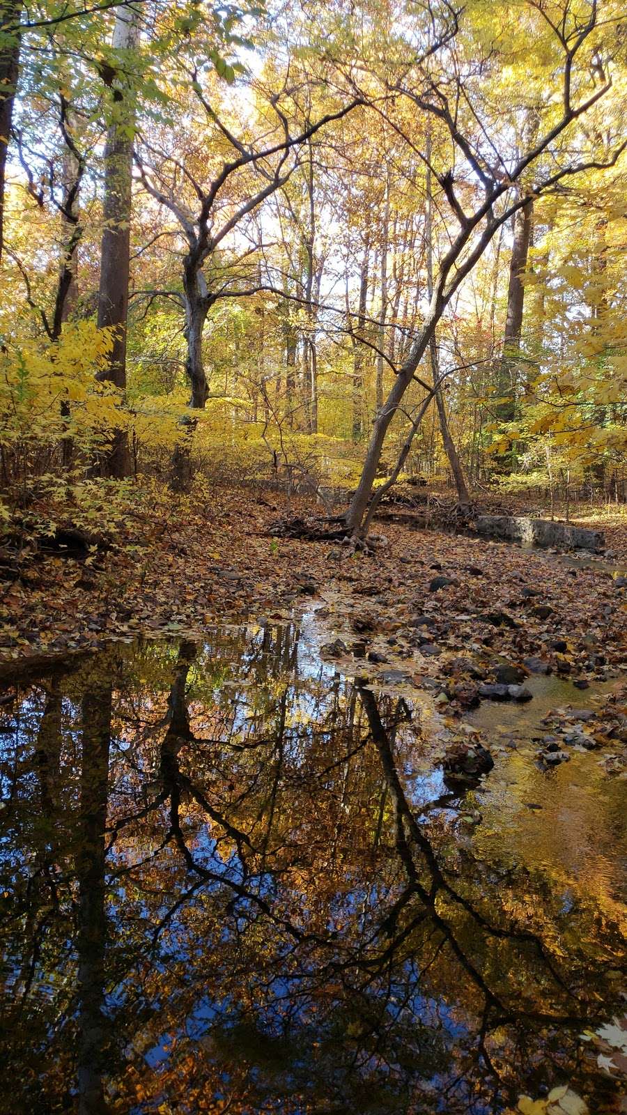 Flat Rock Brook Nature Center | 443 Van Nostrand Ave, Englewood, NJ 07631, USA | Phone: (201) 567-1265